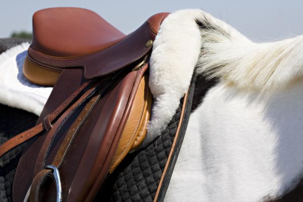 http://fineartamerica.com/images-medium/white-horse-and-saddle-marilyn-hunt.jpg