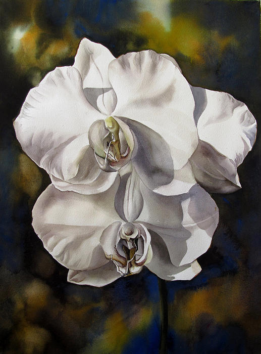 White Orchids Painting  - White Orchids Fine Art Print