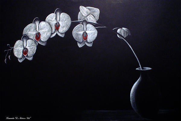 black and white orchid drawing. White Orchids Drawing - White