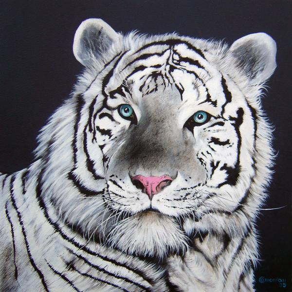 deformed white tiger pictures. White+tiger+pictures