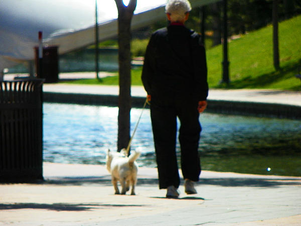 walking free silhouette people walking silhouette. walking free silhouette