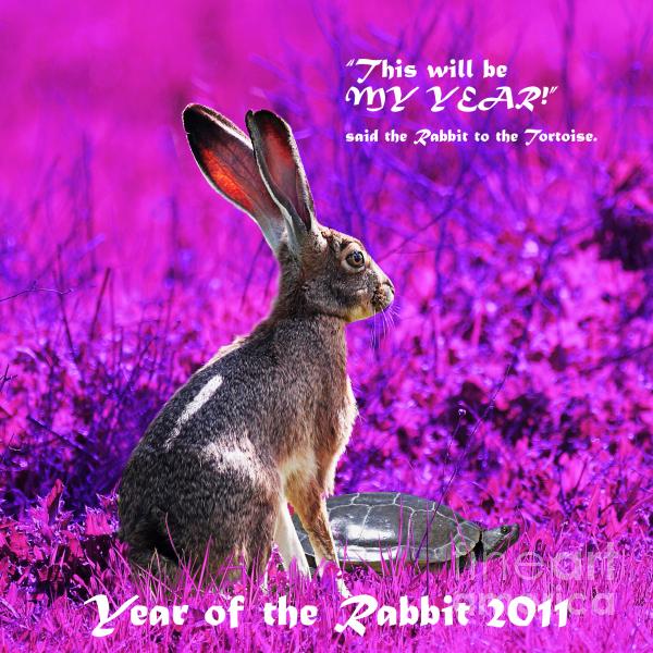 Year Of The Rabbit 2011. Year of the Rabbit 2011 .