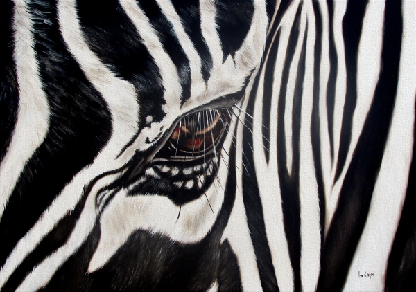 Zebra Eye Greeting Card