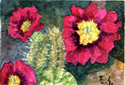 Eric Samuelson - Purple Hedgehog Cactus