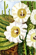 Eric Samuelson - Saguaro Spring