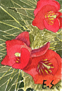 Eric Samuelson - Staghorn Glory