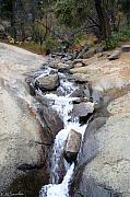 Waterfall by Elise Samuelson - Waterfall Pool Mountain Original Digital Art - Waterfall Pool Mountain Print