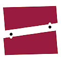 Evan Steenson - Binary Function
