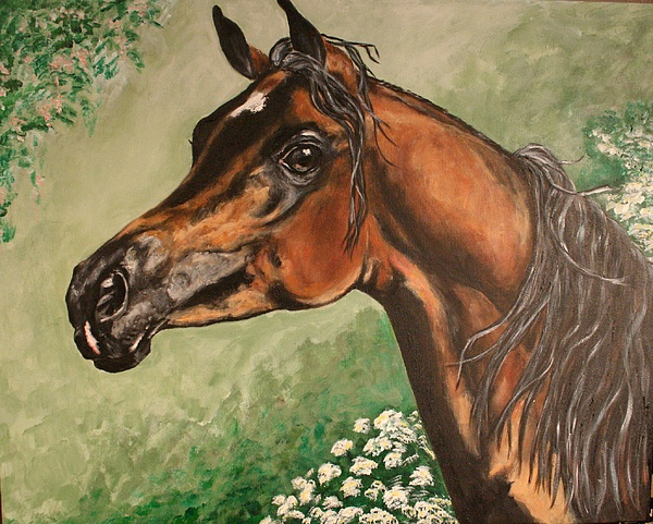 Classic Bay Arabian Painting by BJ Redmond