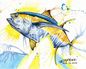  Dennis Friels Original 365 Drawings Floridas Marine Life Artist