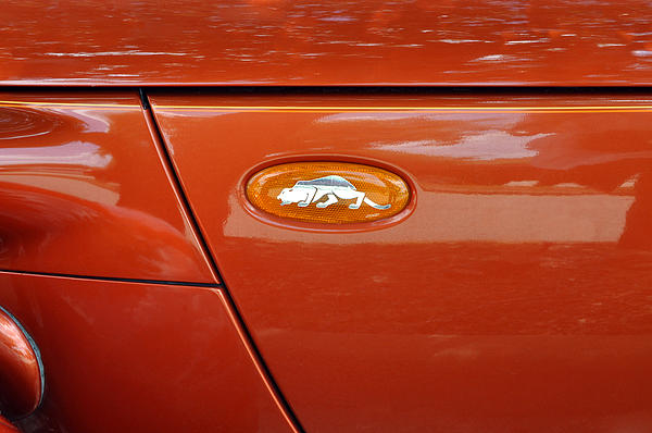 2001 Customized American Plymouth Prowler Car Emblem Photograph