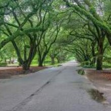 The Meandering Photographer