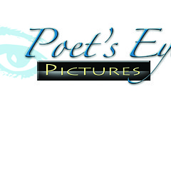 Poet's Eye