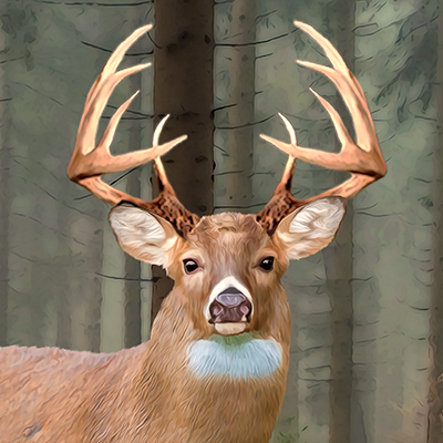 Whitetail Deer Motivational Poster Art Buck Deer Antler Sheds Bow Hunting MVP400 