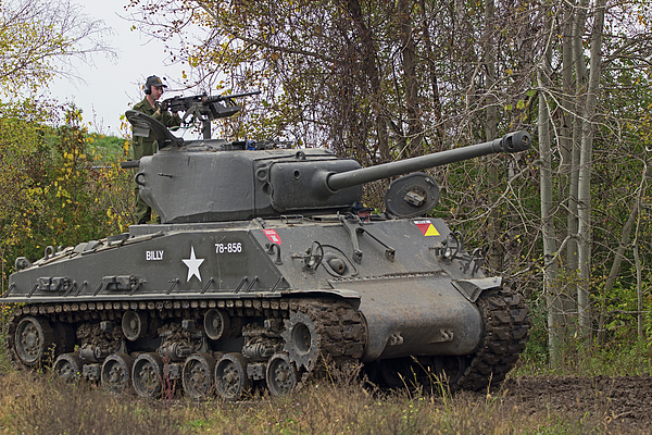 beating-around-the-bushes-m4a3e8-sherman