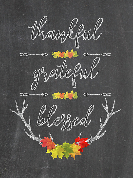 chalkboard handwriting thankful grateful blessed fall thanksgiving georgeta blanaru