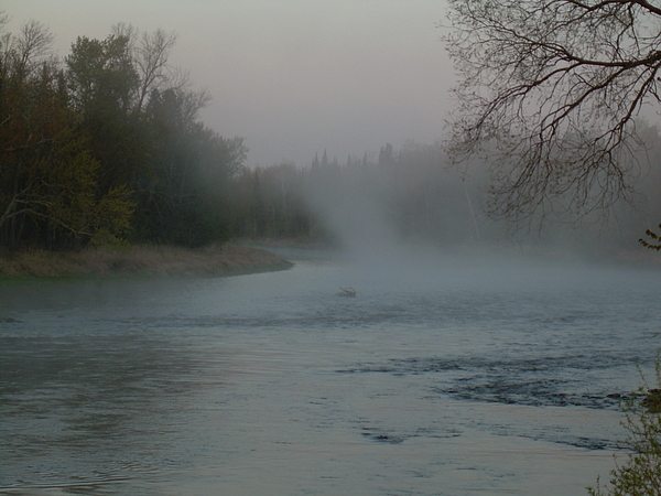 Image result for river fog