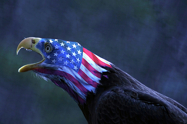patriot-eagle-vasil-vasilev.jpg