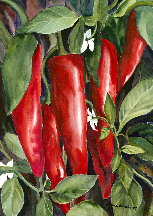 Red Chili Peppers Painting by Ileana Carreno