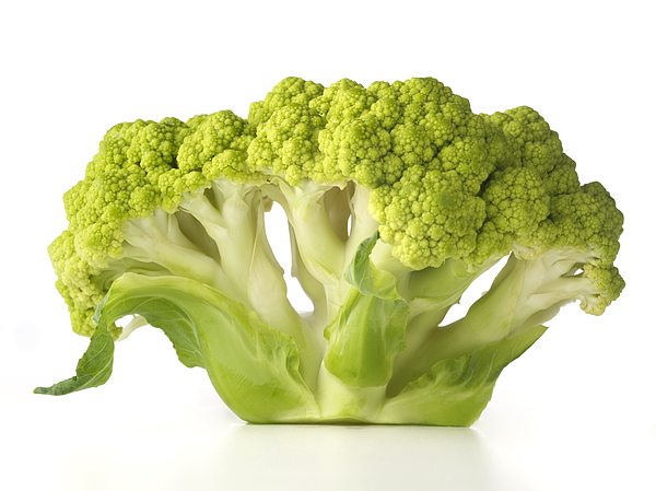 Broccoli Photograph by Jonathan Kantor