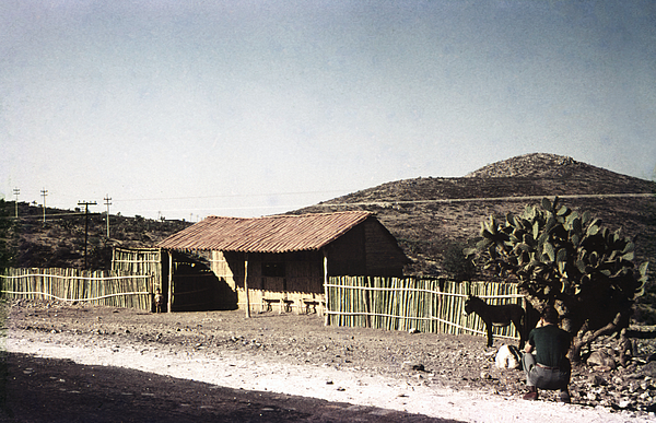 1950s Mexico Home Photograph
