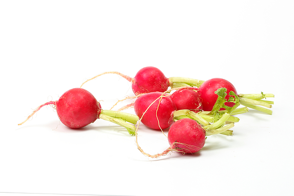 Small red radish #2 Photograph by Oqba