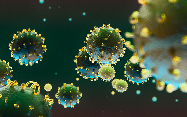 Coronavirus. COVID-19. 3D Render Photograph by Xuanyu Han