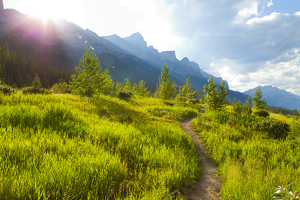 A view of a singletrack trail for mountain bikers, hikers and runners at the Canmore Nordic Centre in Canmore, Alberta, Canada. Photograph by GibsonPictures
