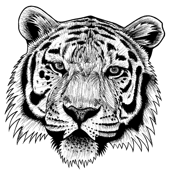 Amur tiger face big cat ink illustration Coffee Mug for Sale by Loren ...