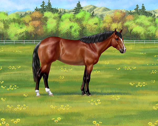 Bay Quarter Horse in Pasture Painting by Crista Forest