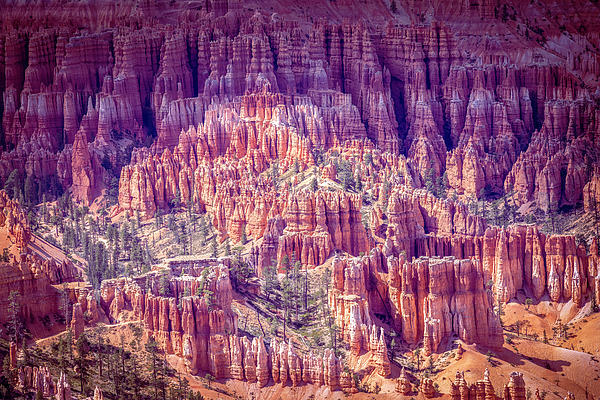 Beauty of Bryce - Hindu Temple Cliffs Photograph by Patti Deters