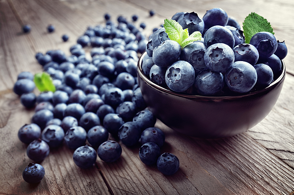 Blueberry antioxidant organic superfood Photograph by BrianAJackson