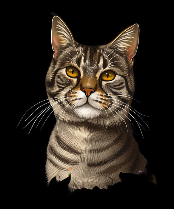 Cat  - Cat Tarot Secrets by Zery-bart