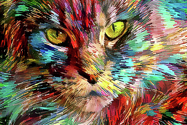 Colorful Maine Coon Cat Digital Art by Peggy Collins