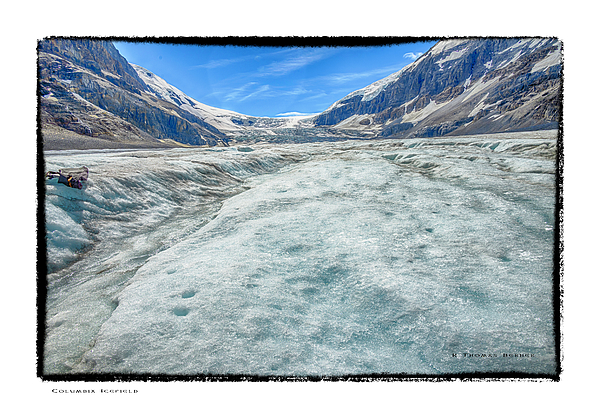 Columbia Icefield Photograph by R Thomas Berner