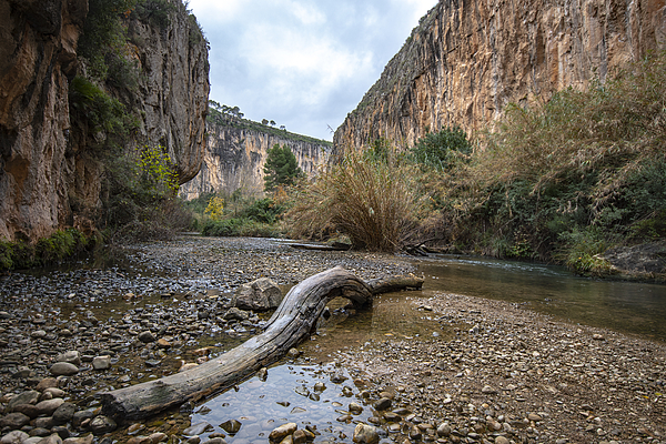 Deep valley on the high course of a Mediterranean river Photograph by Miguelangelortega