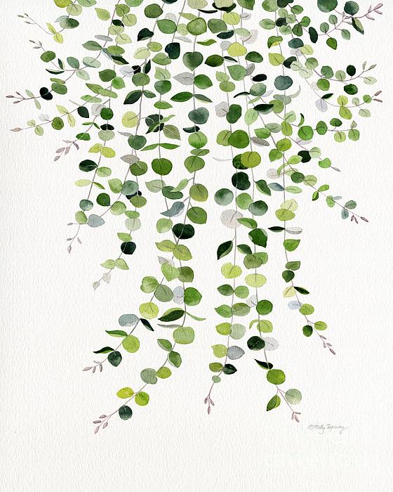 Eucalyptus Watercolor 8 Painting by Melly Terpening