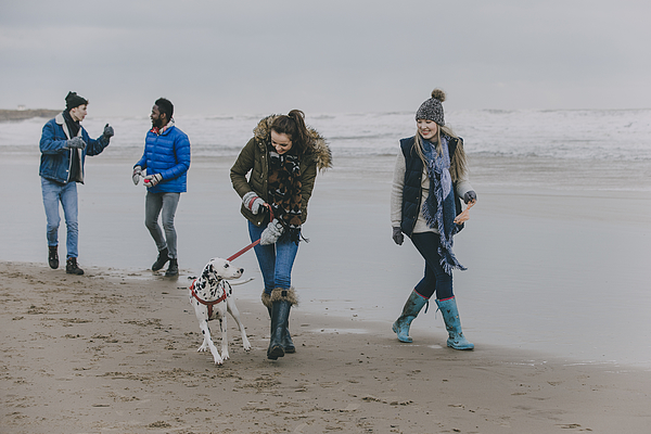 Friends Walking Dog On A Winter Beach Photograph by DGLimages