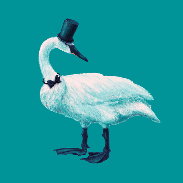 Swan Digital Art - Funny Swan With Bowtie And Top Hat by Boriana Giormova