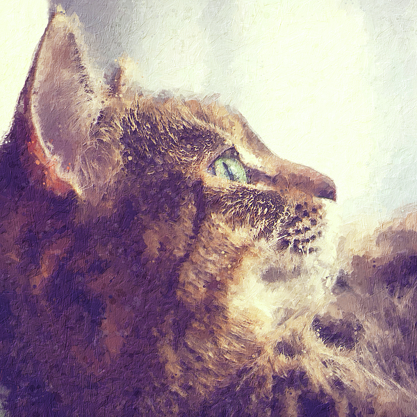 Happy tabby cat basking in the sun Painting by Custom Pet Portrait Art Studio