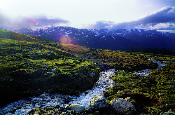 Jotunheimen  National Park - Norway mountain stream at sunrise near Memurubu and Besseggen  Photograph by Peter Herman