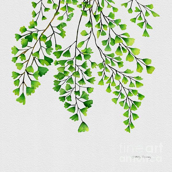 Maidenhair Fern 2 Painting by Melly Terpening