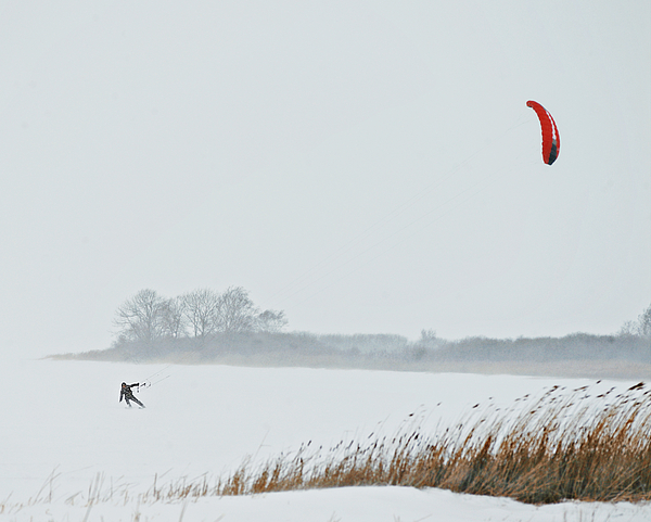 Man kite boarding in a snowstorm Photograph by David Trood