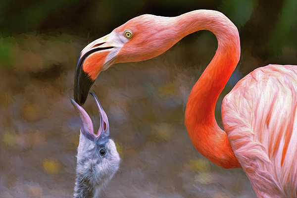 Mother Flamingo Feeding Baby Flamingo - Painted Photograph by Steve Rich