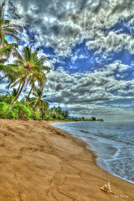 Oahu Hawaii The Shell Waialua Beach North Shore Landscape Seascape Art Photograph