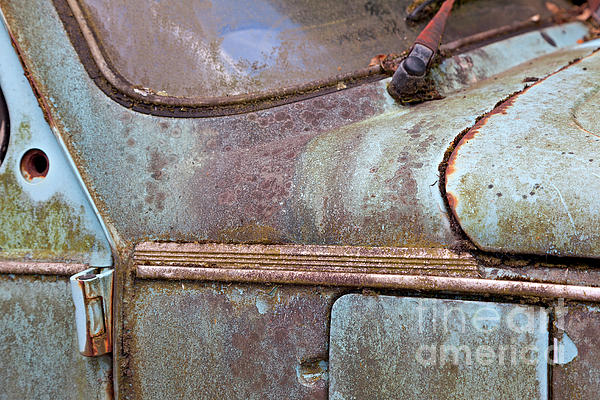 Rusty Beetle Detail Photograph by David Bleeker