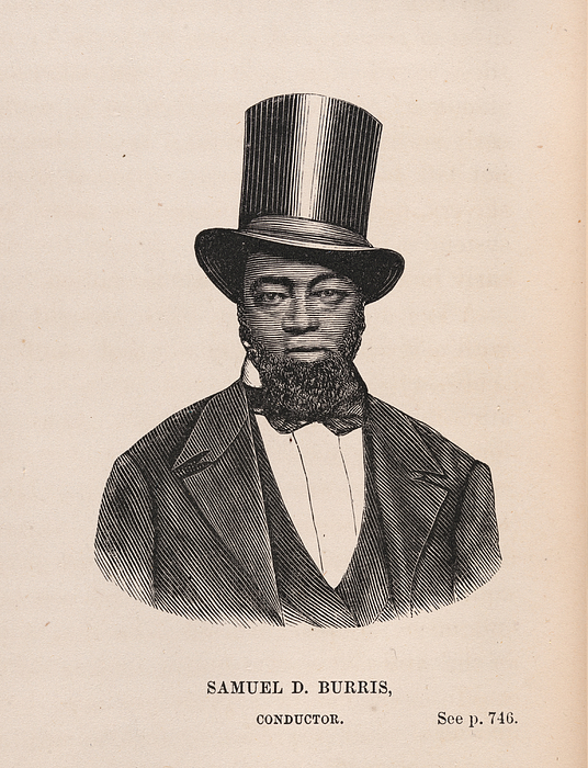 Samuel D Burris Drawing by Artist Fine Art America