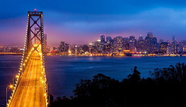 San Francisco and Bay Bridge Photograph by Alexis Birkill