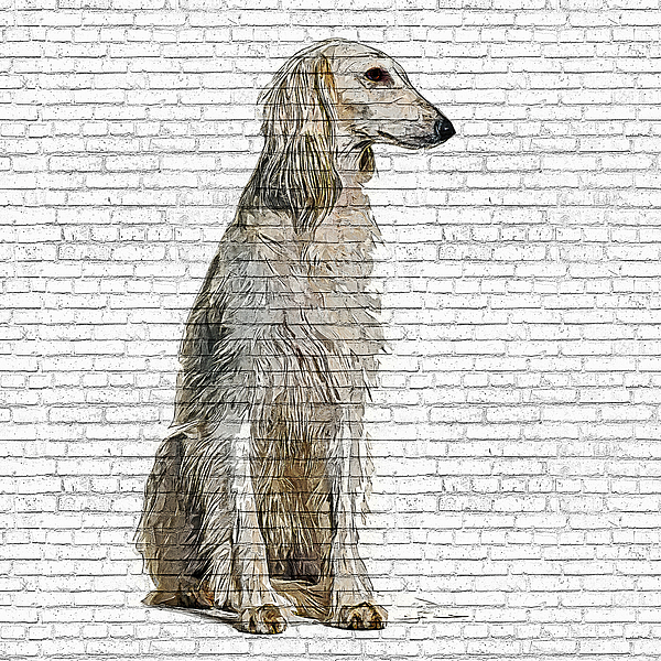 So Beautiful and Cool, Saluki Dog - Brick Block Background Painting by Custom Pet Portrait Art Studio