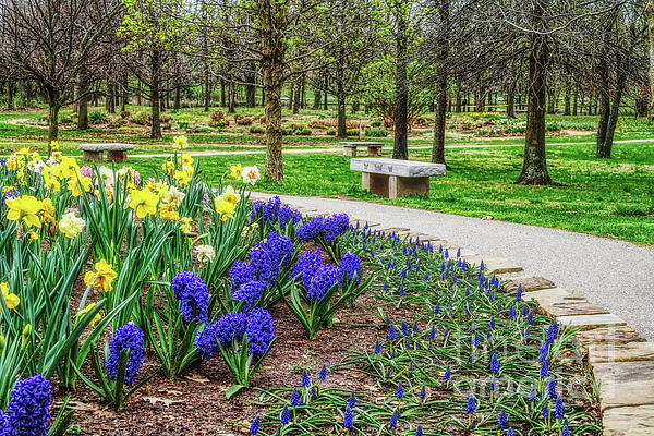 Spring Garden Walk Photograph by Jennifer White
